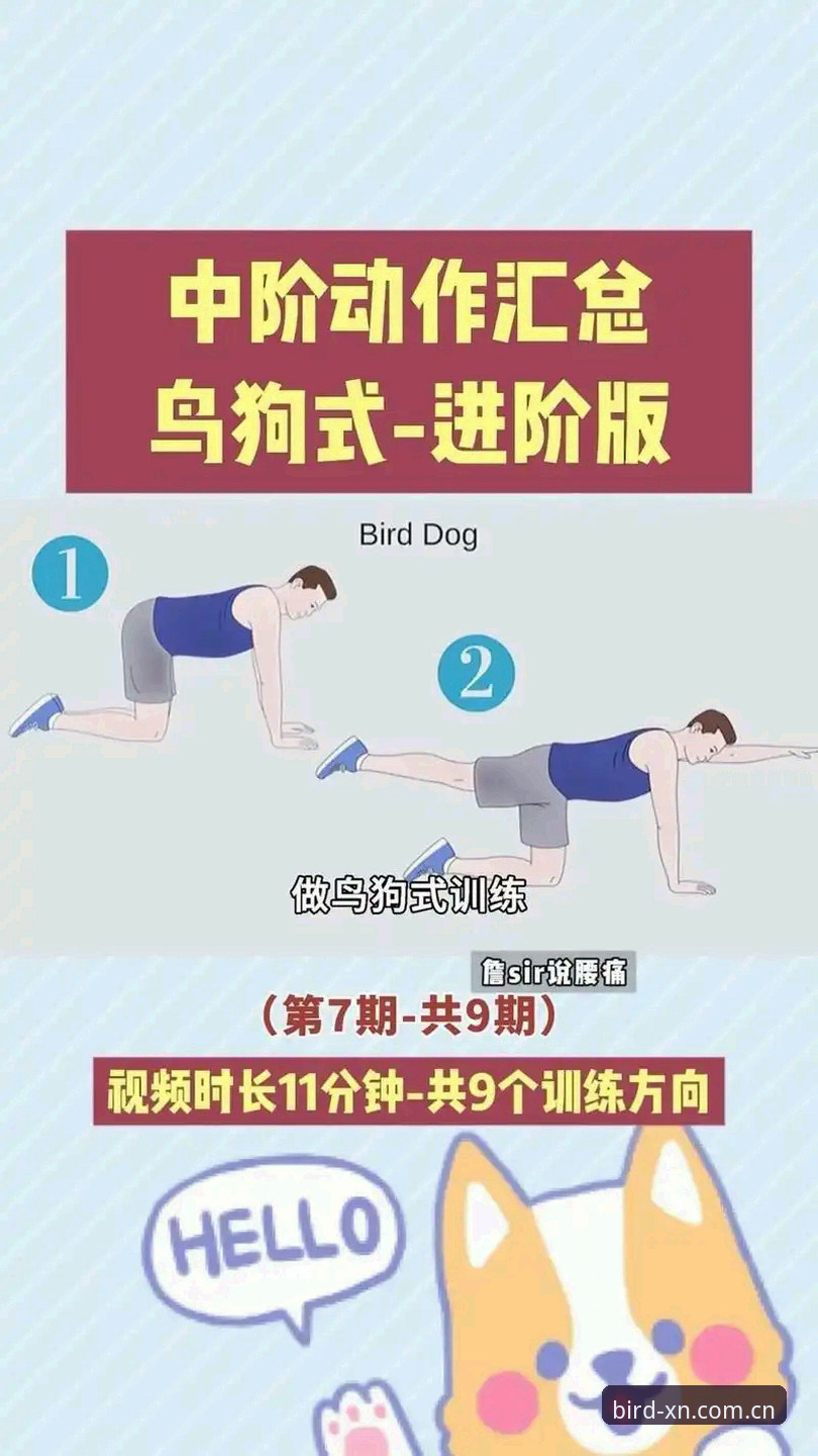 小鸟体育使用教程推荐的5大核心技巧与3种高效玩法