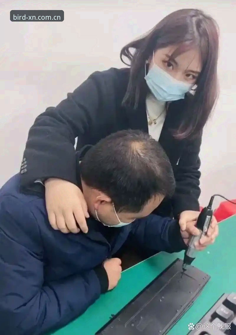 老用户手把手：小鸟体育官方正版手机版下载安装与避坑完整指南